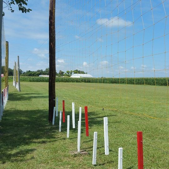 Pista y red del campo de vuelo del CCA